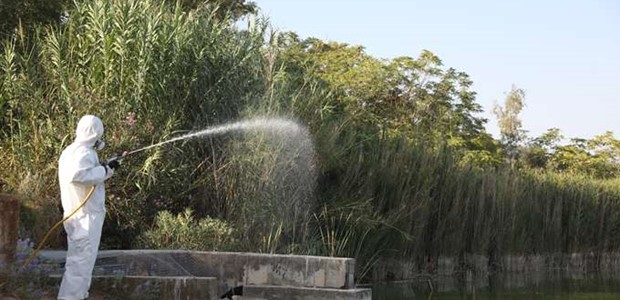 Καλπάζει ο ιός του Δυτικού Νείλου